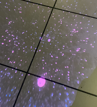 Projection on the foor <a href='https://vimeo.com/1181615727?fl=ip&fe=ec' target='_blank'><p>Video Link</p></a>